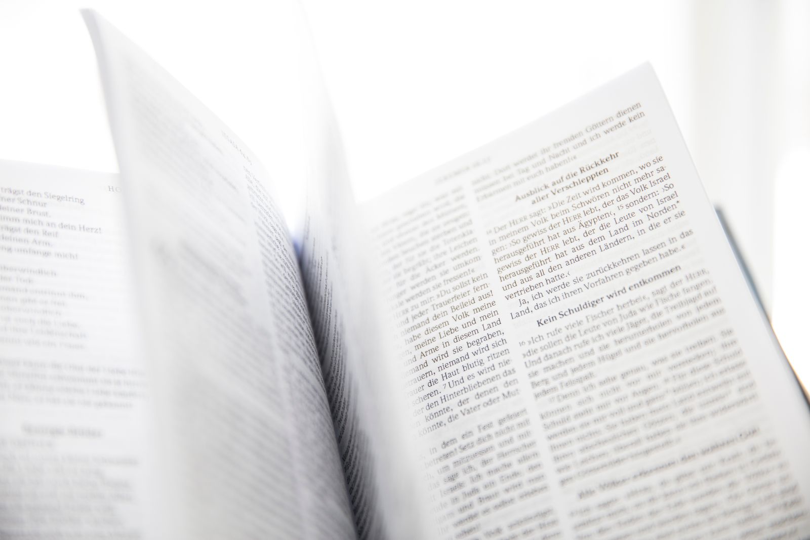 開いた本のページの接写。英語の文章を読み込むイメージ